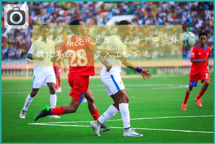 央视体育评论员陈滢亲历十四运体操比赛现场，深入工作实况