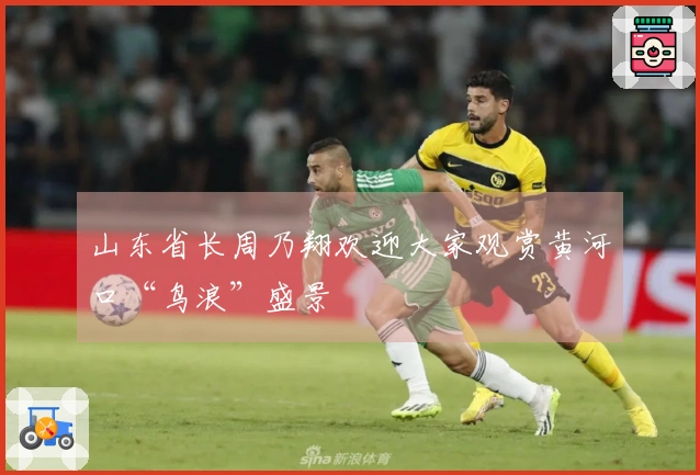 山东省长周乃翔欢迎大家观赏黄河口“鸟浪”盛景