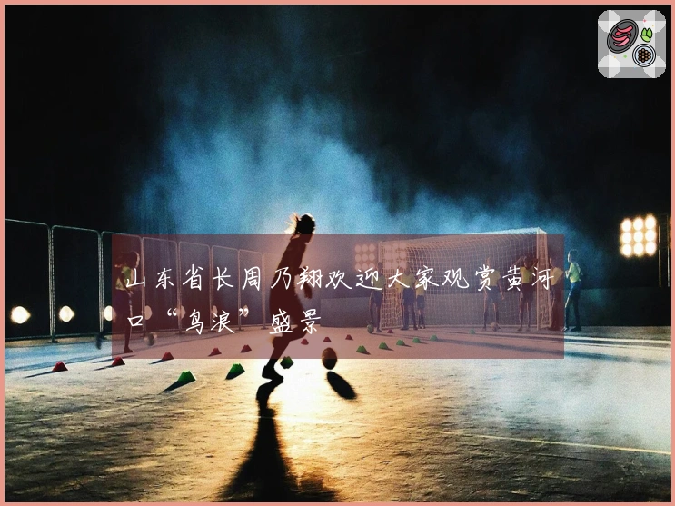 山东省长周乃翔欢迎大家观赏黄河口“鸟浪”盛景