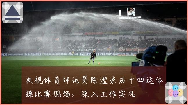 央视体育评论员陈滢亲历十四运体操比赛现场，深入工作实况