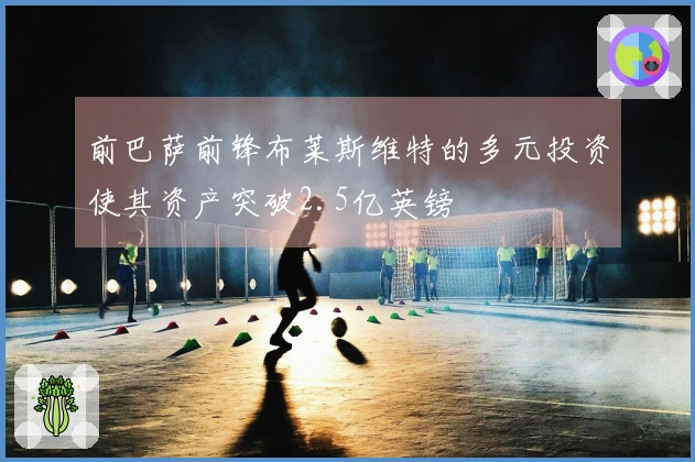 前巴萨前锋布莱斯维特的多元投资使其资产突破2.5亿英镑